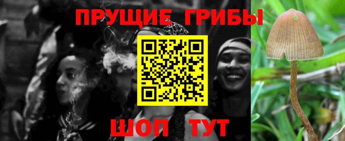 Псилоцибиновые грибы MAGIC MUSHROOMS Обнинск